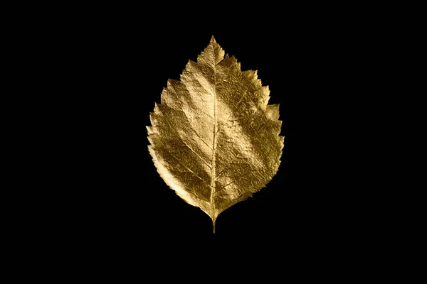 검은 배경에 다른 황금 잎과 문자의 가을 구성 — 스톡 사진