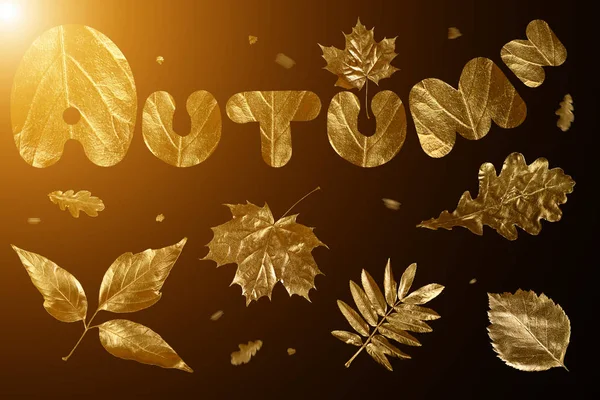 Composição outono de diferentes folhas douradas e letras sobre fundo preto — Fotografia de Stock