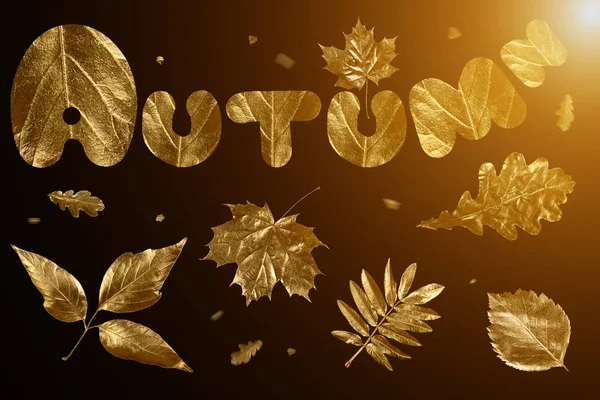 Herfst samenstelling van verschillende gouden bladeren en letters op zwarte achtergrond — Stockfoto