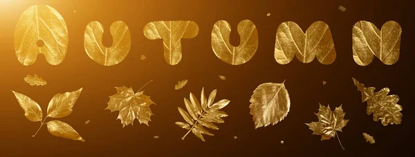 Composición otoñal de diferentes hojas y letras doradas sobre fondo negro —  Fotos de Stock