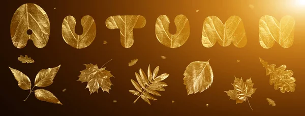 Herfst samenstelling van verschillende gouden bladeren en letters op zwarte achtergrond — Stockfoto