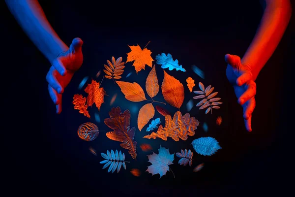 Feuilles colorées tourbillonnent dans une sphère magique. Les mains évoquent au cours de l'année. Sur fond noir. Concept d'automne — Photo