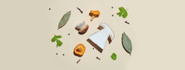 Hafif bir arka planda turşu için baharat ve mantar yatağı sert bir gölgeyle: chanterelle, porcini, yeşiller, defne yaprağı, karanfil, biber. Pankart