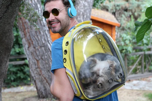 Close Portret Van Knappe Jongeman Wandelen Met Puppy Transparante Rugzak — Stockfoto