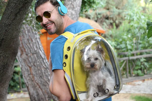 Close Portret Van Knappe Jongeman Wandelen Met Puppy Transparante Rugzak — Stockfoto