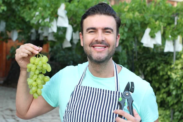 Primer Plano Retrato Joven Guapo Delantal Sosteniendo Rama Uvas Jardín — Foto de Stock