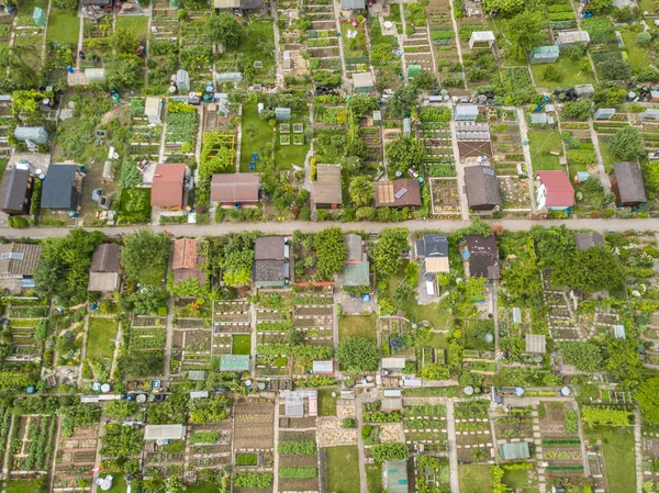 Aerial View Allotments Switzerland Concept Urban Gardening — Stock Photo, Image