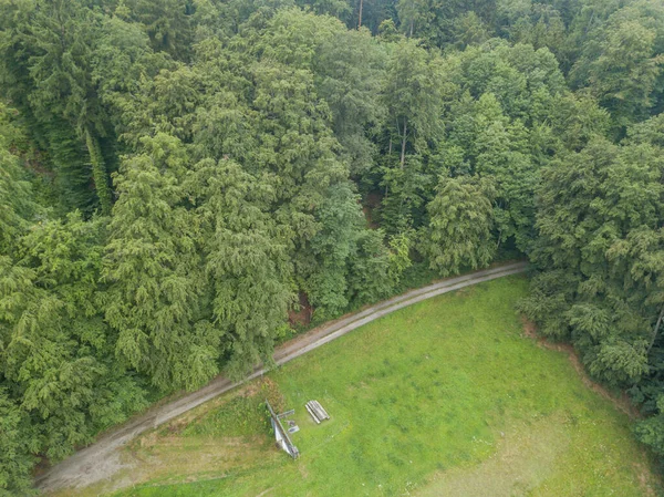 Aerial view of track along forest border. Lush foliage of many tress next to green meadow.