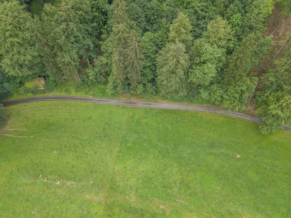 森の境界線に沿ってトラックの空中ビュー 緑の牧草地の横に多くのドレスの緑豊かな葉 — ストック写真