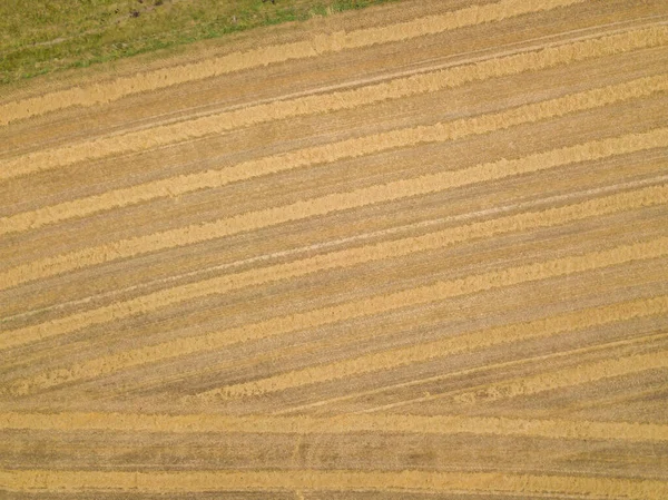 Aerial View Fresh Plowed Farmland Field Dirt Brown Earth Agricultural — Stock Photo, Image