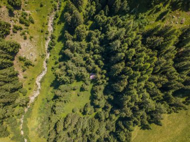 İsviçre Alplerindeki yeşil vadideki dar nehrin havadan görünüşü. Alp dağlarındaki ormandan akan küçük bir nehir..