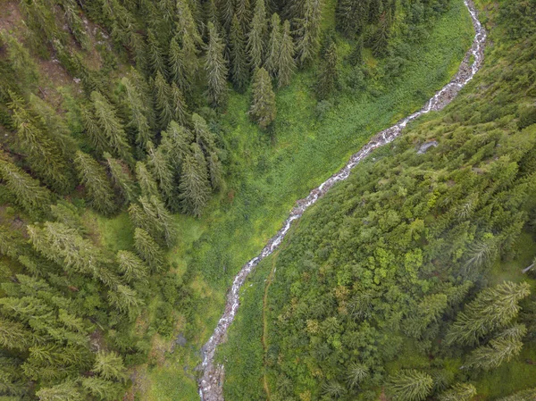 Flygfoto Över Smal Flod Grön Dal Schweiziska Alperna Liten Flod — Stockfoto