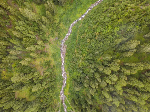 Flygfoto Över Smal Flod Grön Dal Schweiziska Alperna Liten Flod — Stockfoto