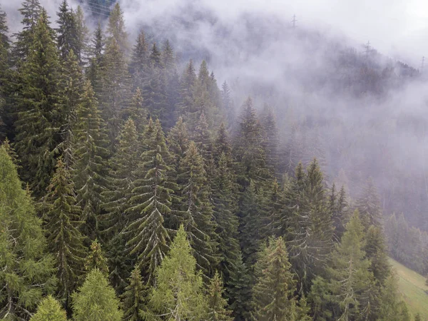 Vista Aérea Névoa Nevoeiro Floresta Montanha Suíça Cobertura Coníferas Zona — Fotografia de Stock