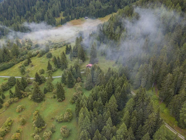 Vista Aérea Névoa Nevoeiro Floresta Montanha Suíça Cobertura Coníferas Zona — Fotografia de Stock