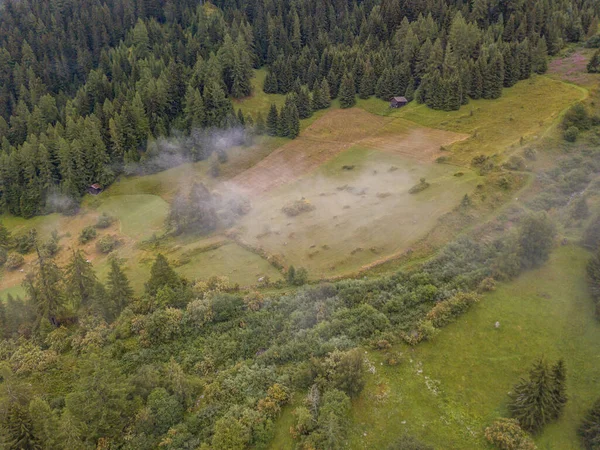 Flygfoto Över Dimma Och Dimma Fjällskog Schweiz Barrträdstak Alpint Område — Stockfoto