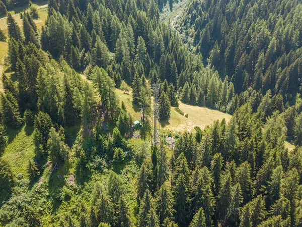 Vista Aérea Linha Elétrica Através Floresta Alpina Suíça Distribuição Corrente — Fotografia de Stock