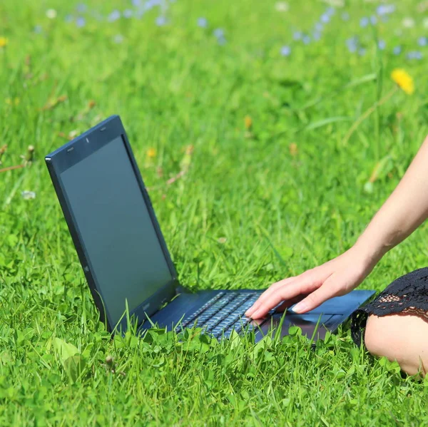 Laptop Está Grama Verde Menina Trabalha Computador Gramado Mão Homem — Fotografia de Stock