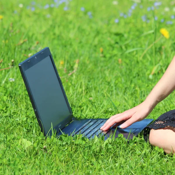 The laptop is on the green grass, the girl works at the computer on the lawn. The man's hand is on the keyboard.