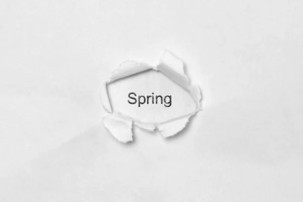 Palavra Primavera no fundo isolado branco através do buraco da ferida no papel . — Fotografia de Stock