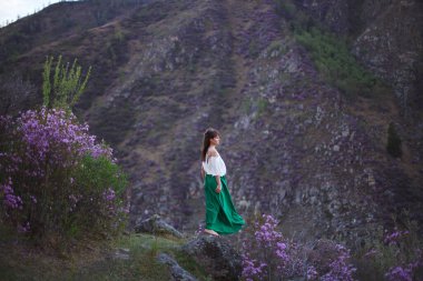 Bir kız çiçek açmış bir şekilde bir dağ manzarasının arka planında yürür. Altai dağlarında ledum çiçekleri açar..