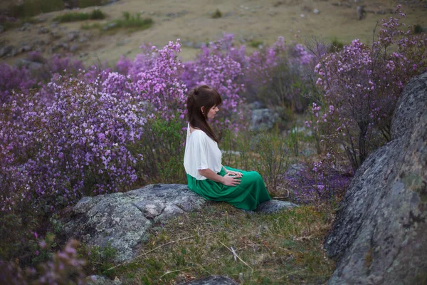 少女は山の風景を背景に花の咲く中を歩く アルタイ山脈のレドームの花 — ストック写真