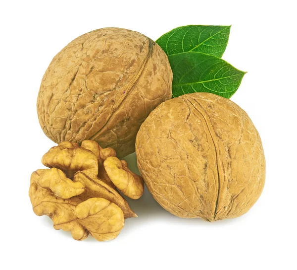 Beyaz arkaplanda izole edilmiş cevizler