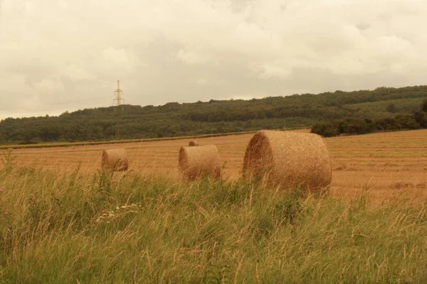 Feno fardos em um campo nos arredores de Miskolc — Fotografia de Stock