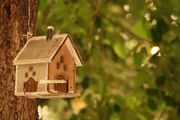 ハンガリーの木の鳥小屋 — ストック写真