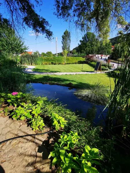 背景に水のある庭 — ストック写真