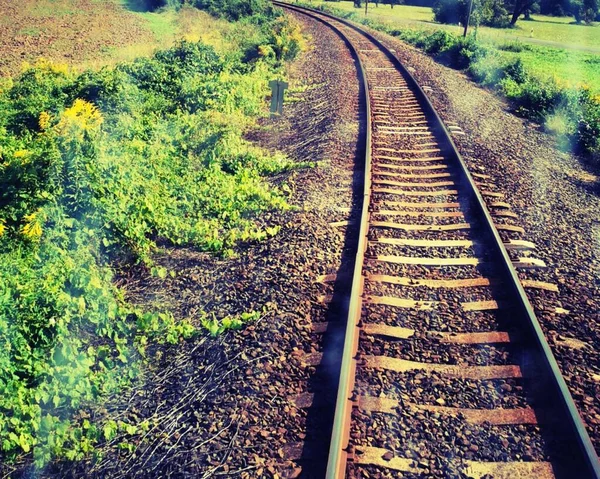 Tren yolu silüeti ve yeşil alan trenden fotoğraflandı. — Stok fotoğraf