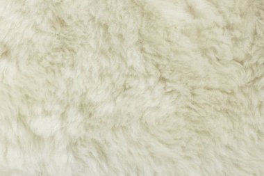 White shaggy natural sheep fur texture for background  clipart