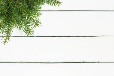 Ladin ahşap arka plan üzerinde Şubesi 