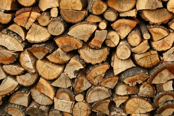 Mauer Mit Aus Holz Geschnittenen Bäumen Frontansicht Natürlicher Hintergrund — Stockfoto