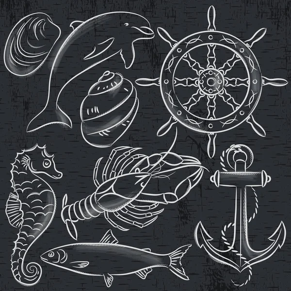 Set Summer Symbols Ship Rudder Anchor Shells Lobster Dolphin Blackboard — Stock Vector