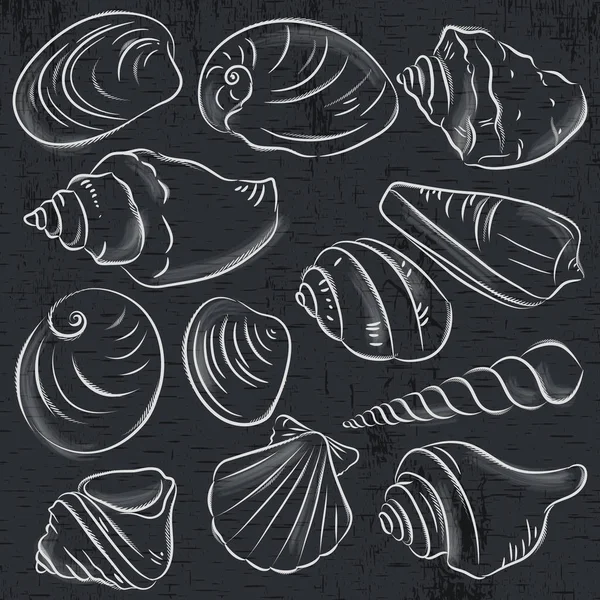 Ensemble Différents Types Palourdes Coquillages Sur Fond Tableau Noir Illustration — Image vectorielle