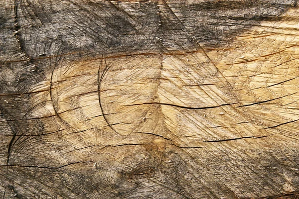Background of old cracked wood with many traces of cutting. Rough texture of natural wood panel