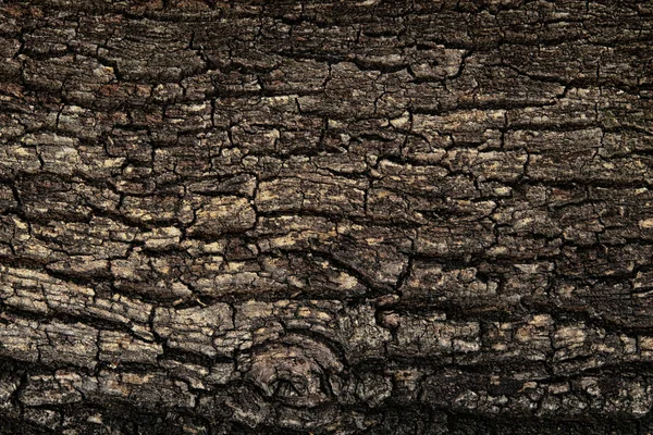 Textura corteza fondo patrón grieta viejo marrón para el diseño. Textura áspera de madera natural —  Fotos de Stock