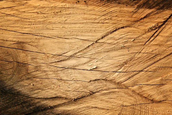 Fond de vieux bois fissuré avec de nombreuses traces de coupe. Texture rugueuse du panneau de bois naturel — Photo