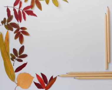 frame made of autumn leaves and pencils on white background