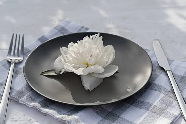 white peony flower. edible flowers concept.
