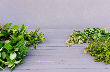 Çayı iyileştirmek için malzemeler. Bitki çayı konsepti. Melissa yaprakları, papatya çayı gri ahşap bir masada. Kış mevsimi için otları hasat edip kurutuyorum. alternatif tıp kavramı.