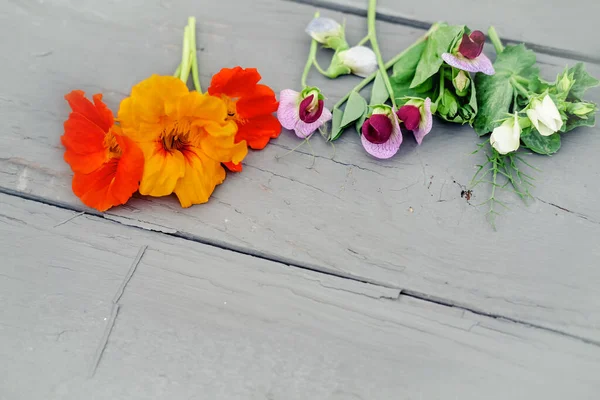 edible flowers on a grey table. food knolling. pea flowers and nasturtium. flowers as ingredients of haute cuisine. copy space for text.
