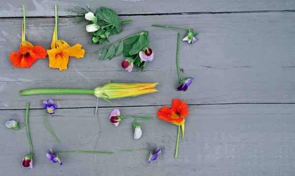 edible flowers on a grey table. food knolling. squash flower, violets, field pansies, pea flowers, and nasturtium. flowers as ingredients of haute cuisine. copy space for text.