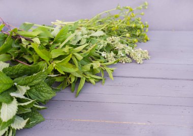 Bahçede yetişen şifalı bitkiler..