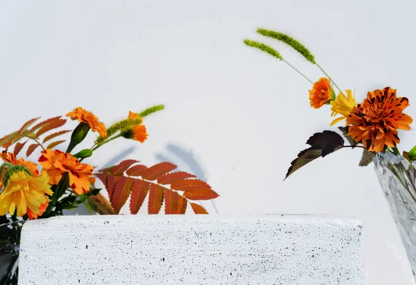 Подиум Осенний Цветок Дисплей Презентации Продукта Оранжевые Цветы Листья Каменного — стоковое фото