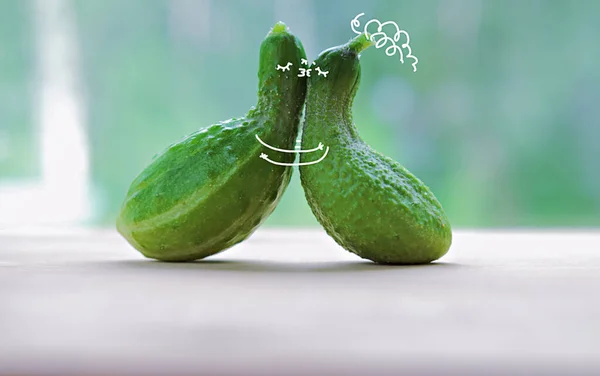 funny kissing cucumbers. cartoon characters in love. paint art on a vegetables. love and togetherness concept. cuddling cuccumbers. selective focus.