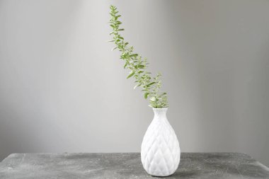 İç dekorasyon asgari düzeyde. Beyaz vazodaki yeşil çayır dalı. Hipster ev rezilliği. dağınık bir oda. İskandinav iç mimarisi. Moda olan kuzeyli ev dekorasyonu.