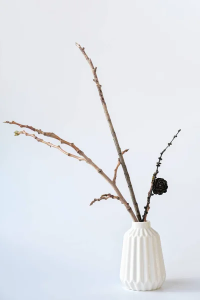 Минимальный стиль интерьера. ветви в белой вазе. — стоковое фото