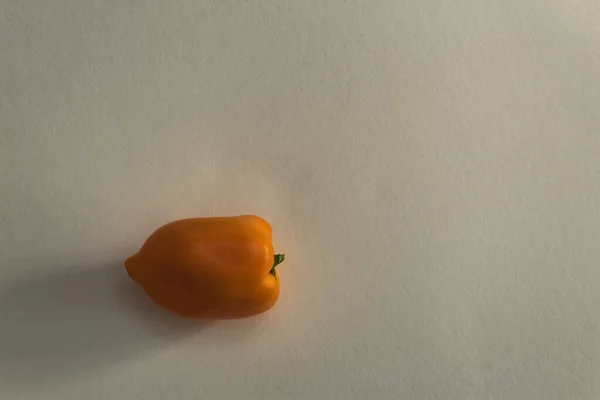 Masada portakal biberi meyvesi var.